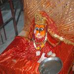 Vraj-Yatra-2014- (180)